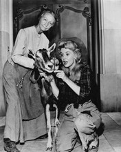 The Beverly Hillbillies TV Irene Ryan & Donna Douglas with nanny goat 8x10 photo