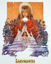 Labyrinth poster artwork Jennifer Connelly David Bowie 8x10 inch photo