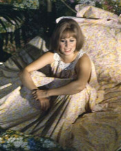 Barbra Streisand in bed 1970 On A Clear Day You Can See Forever 8x10 inch photo