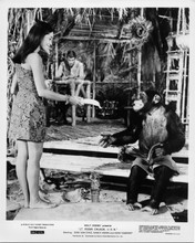 Lt. Robin Crusoe USN 1965 original 8x10 photo Nancy Kwan hands banana to chimp