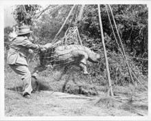 Mogambo 1953 on set original 8x10 photo rhino caught in net