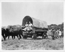 Mogambo 1953 8x10 original photo Grace Kelly Ava Gardner in wagon in bush