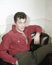 Tony Curtis 1950's pin-up beefcake portrait in open red shirt 8x10 inch photo