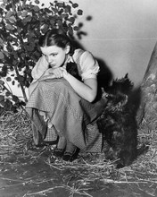 Judy Garland cute pose kneels beside little dog Toto Wizard of Oz 8x10 photo