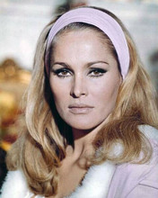 Ursula Andress gorgeous 1960's portrait with purple head scarf 8x10 inch photo