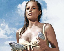 Ursula Andress in white bikini holding sea shells 1962 Dr. No 8x10 inch photo