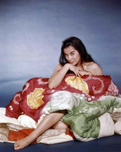 France Nuyen in South Pacific pose covers herself with blanket 8x10 inch photo