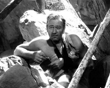 John Wayne bandaged with arm in sling by rocks The Searchers 8x10 inch photo