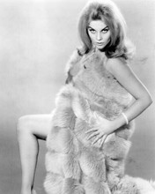 Ann-Margret shows of leg wrapped in fur coat Once A Thief 8x10 inch photo
