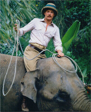 Bring 'em Back Alive 1982 TV series bruce Boxleitner sits on elephant 8x10 photo
