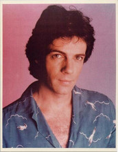 Rick Springfield 1980's studio portrait in blue shirt 8x10 inch photo