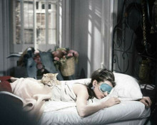 Audrey Hepburn wears sleep mask in bed with cat Breakfast at Tiffany's 8x10