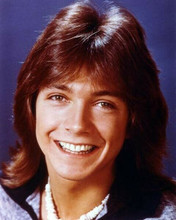 David Cassidy with big smile as Keith from The Partridge Family 8x10 inch photo