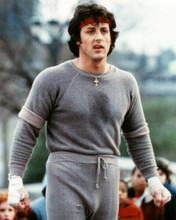 Sylvester Stallone as Rocky in sweat-shirt and pants in boxing ring 8x10 photo