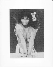 Chaka Khan busty studio portrait 1970's era 8x10 inch photo