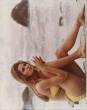 Raquel Welch sits on beach in yellow bikini c.1967 8x10 photo