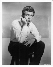 James Dean iconic portrait in white shirt sitting on stool 8x10 inch photo