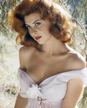 Tina Louise gives seductive look in off-shoulder dress huge cleavage 8x10 photo