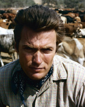 Clint Eastwood as trail boss Rowdy Yates 1960's western Rawhide 8x10 inch photo