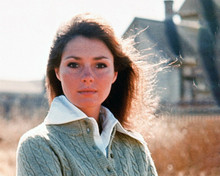 Jennifer O'Neill haunting portrait as Dorothy 1971 Summer of '42 8x10 inch photo