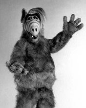Alf Gordon Shumway alien from Melmac poses 8x10 inch photo