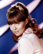 Barbara Feldon smiling portrait as Agent 99 Get Smart 8x10 inch photo