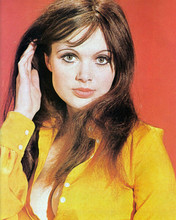 Madeline Smith busting out of yellow shirt Hammer Studios portrait 8x10 photo