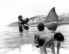 Jaws 1976 shark moves in to attack boys on boat 8x10 inch photo