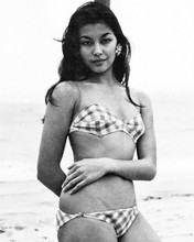 France Nuyen beautiful young pose wearing bikini 1960's 8x10 inch photo