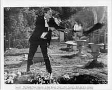 Baby The Rain Must Fall original 1964 8x10 photo Steve McQueen in graveyard