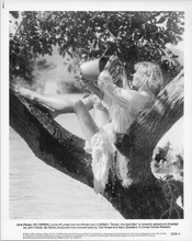Bo Derek cools off in tree 1981 original 8x10 photo Tarzan The Ape Man