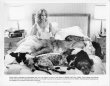 Goldie Hawn sits on bed with lots of dogs Seems Like Old Times original 8x10