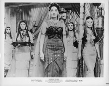 Legions of the Nile 1960 original 8x10 photoLinda Cristal with her servants
