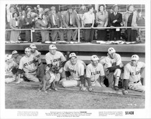 Rhubarb 1951 original 8x10 photo Ray Milland William Frawley & St Louis baseball