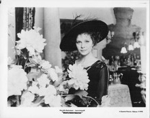 Laura Antonelli 1978 original 8x10 photo portrait by flowers Wifemistress