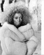 Diana Ross original 8x10 photo wrapped in fur coat from Mahogany snipe attached