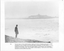 Quadrophenia 1979 Phil Daniels on Brighton beach original 8x10 photo with pier