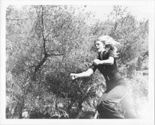 Lindsay Wagner jumping over fence original 8x10 photo The Bionic Woman