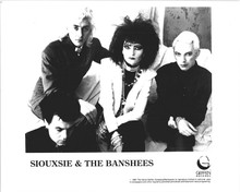 Siouxsie & The Banshees 1987 original 8x10 inch photo Geffen Records promo