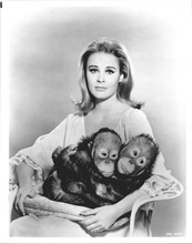 Cheryl Miller poses with baby monkeys Daktari original 8x10 photo