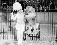 Mae West poses with lion in I'm No Angel 8x10 inch photo