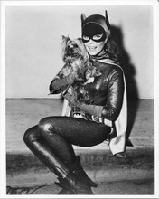 Batman TV series 8x10 photo Yvonne Craig sits with Yorkie dog as Batgirl