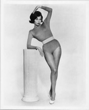 Mary Tyler Moore 8x10 inch photo in leotard 1960's era glamour pose
