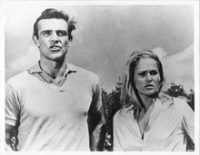Dr No 8x10 inch photo Sean Connery as Bond Ursula Andress on beach