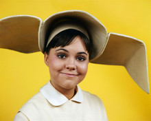 Sally Field with cute smiling expression 1967 sitcom The Flying Nun 8x10 photo