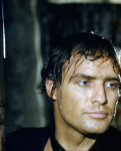 Marlon Brando with wet hair and face in scene from One-Eyed Jacks 8x10 photo