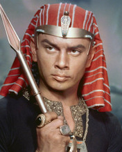 Yul Brynner holds spear as Ramses in 1956 The Ten Commandments 8x10 inch photo