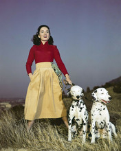 Ann Blyth striking pose walking two dalmation dogs 1940's era 8x10 inch photo