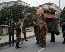 Hannibal Brooks 1969 Oliver Reed with elephant in Austrian town 8x10 inch photo