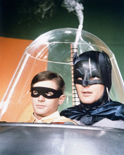 Batman TV Adam West & Burt Ward inside enclosed plastic bubble 8x10 inch photo
